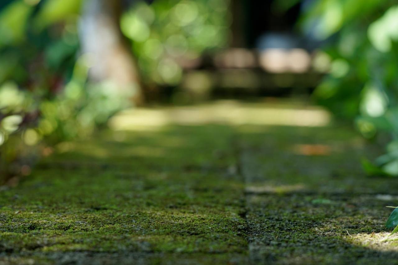 Villa SACHIIBARU Nanjo Esterno foto